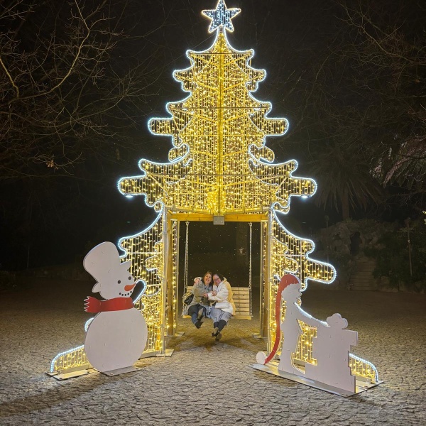 Pinheiro iluminado com  baloiço de madeira no interior