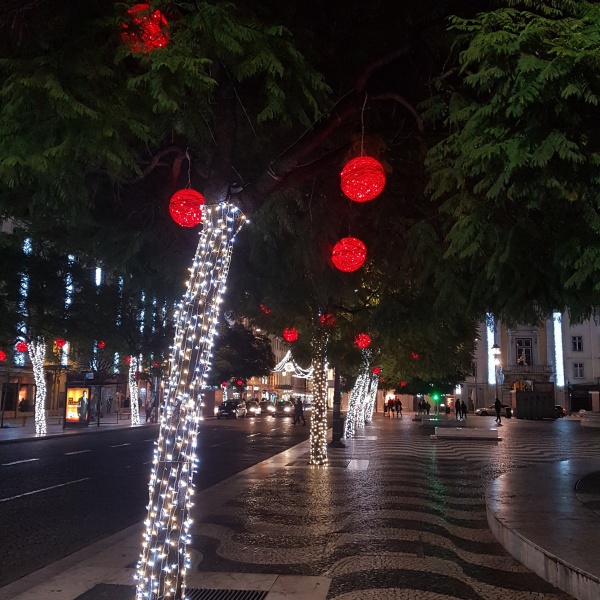 Tronco de árvores iluminado com string led e bolas de polipropileno iluminadas, aplicadas em copas de árvores