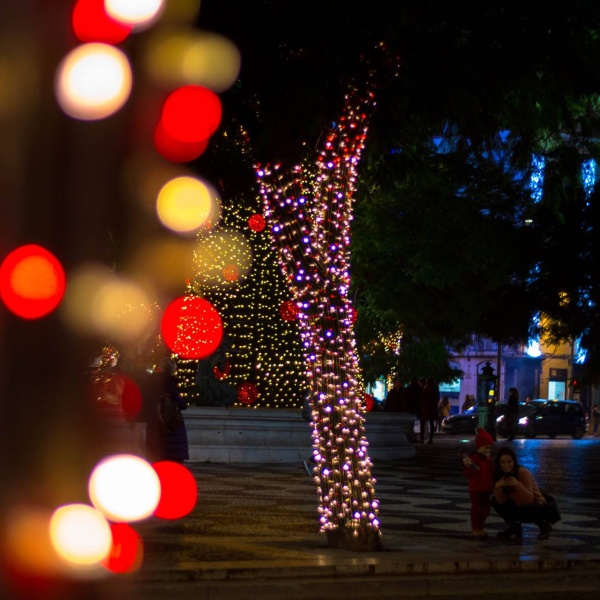 Tronco de arvores iluminados com string led