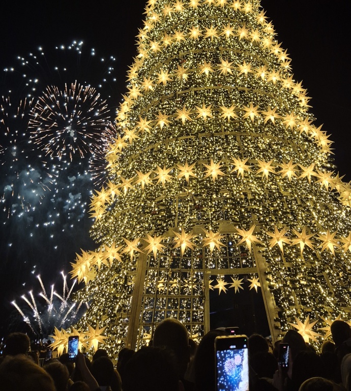 Lisbon Christmas tree
